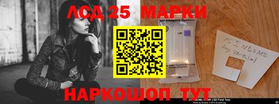 мдпв Обь