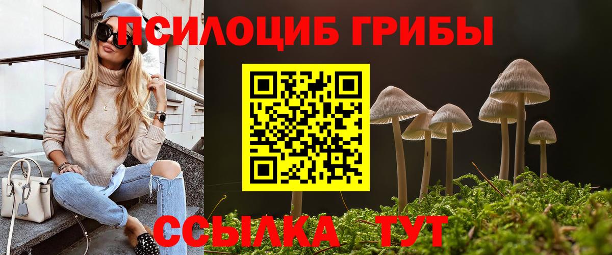 Галлюциногенные грибы Magic Shrooms Сухой Лог