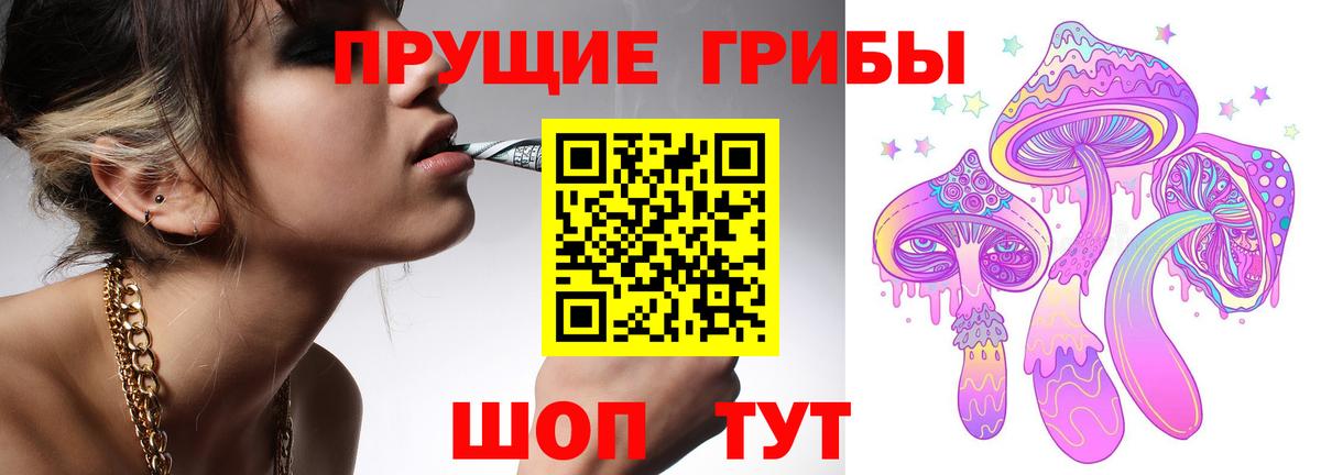Сухой Лог  Галлюциногенные грибы Psilocybe  Вход с VPN 